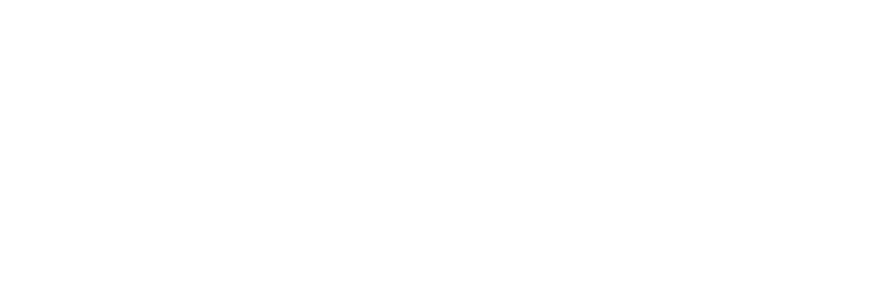 IW logo 2023